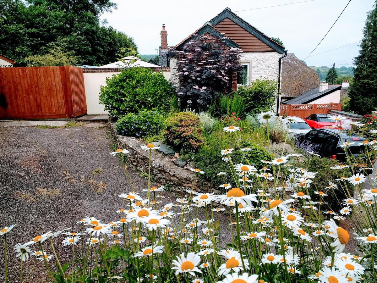 Rose Farm Bed & Breakfast โฮนิทัน ภายนอก รูปภาพ