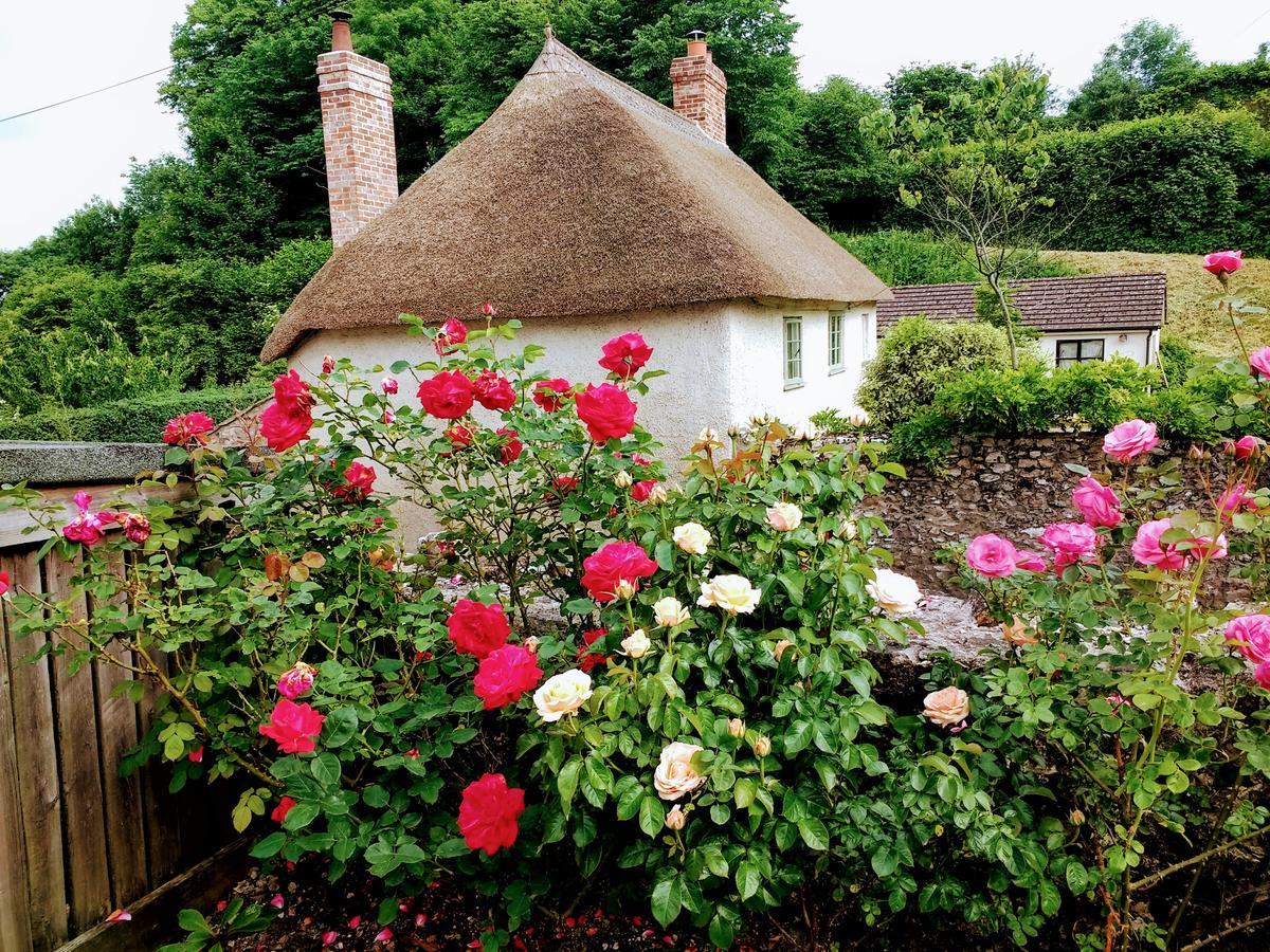Rose Farm Bed & Breakfast โฮนิทัน ภายนอก รูปภาพ